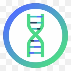 Free Resources - Gcse Bioinformatics Animation Gif Png,Double Helix Icon