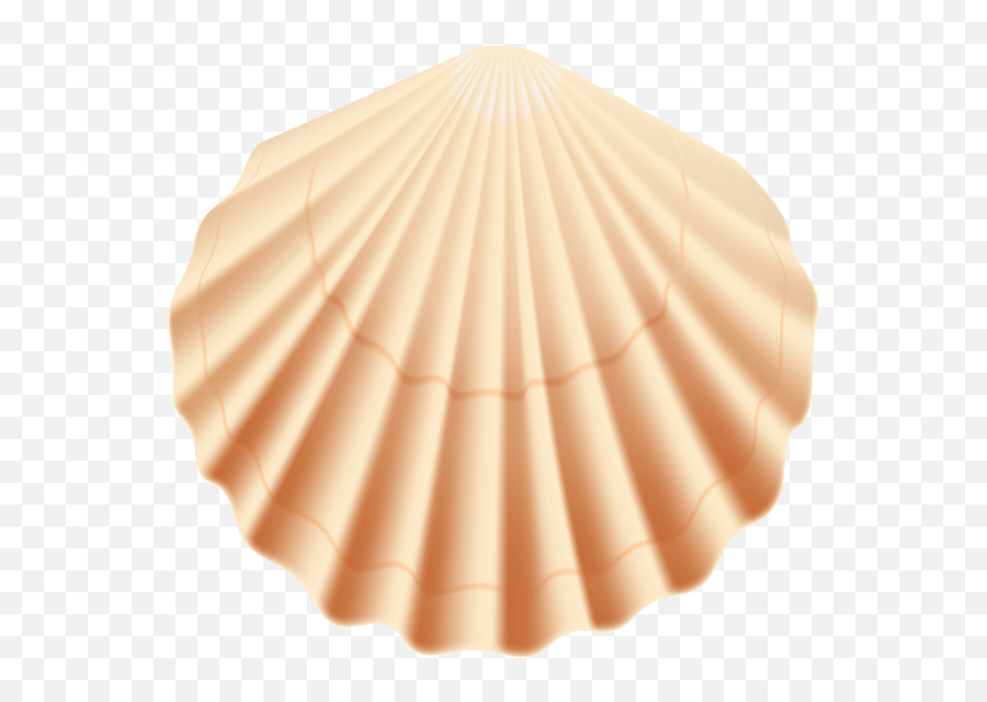 Seashell Transparent Png Clip Art Image - Transparent Background Seashells Clipart Png,Sea Shell Png