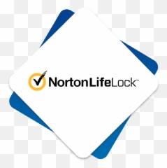 Case Study - INDIA epay Worldwide Norton png