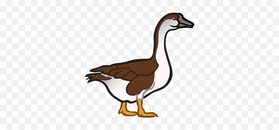 100 Free Goose U0026 Geese Vectors - Pixabay Geese Clipart Png,Goose Transparent