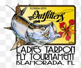 Tournament Info U2013 Ladies Tarpon Fly - Fish Products png