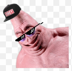 Meme Mlg - Sticker by Pug Life 4 Ever png