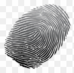 Fingerprint Colour Transparent Png - Grey Powder Coating Fingerprints