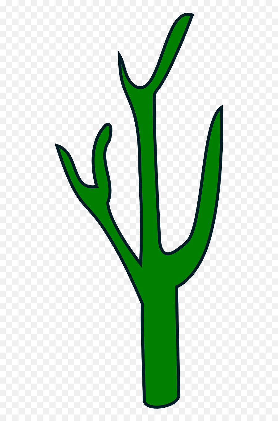 Cactus Succulent Clipart Transparent Png