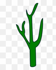 Cactus Succulent Clipart Transparent Png