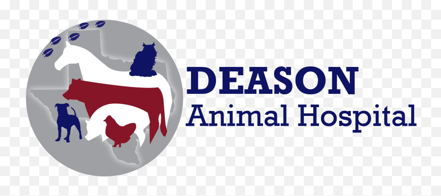 Externship Program Floresville Vet Animal Hospital - Graphic Design Png,Veterinary Logo