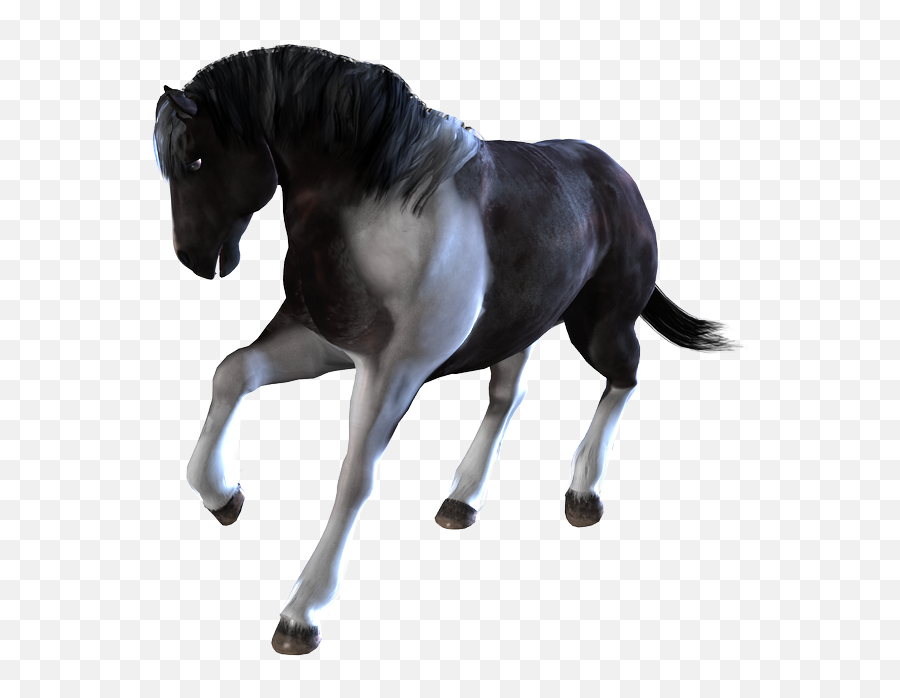 Download Home Poser And Daz Studio Content Horses - Animated Transparent Horses Png,Horses Png