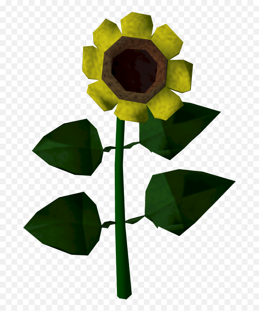 Sunflower - The Runescape Wiki Runescape Flower Png,Sunflower Png