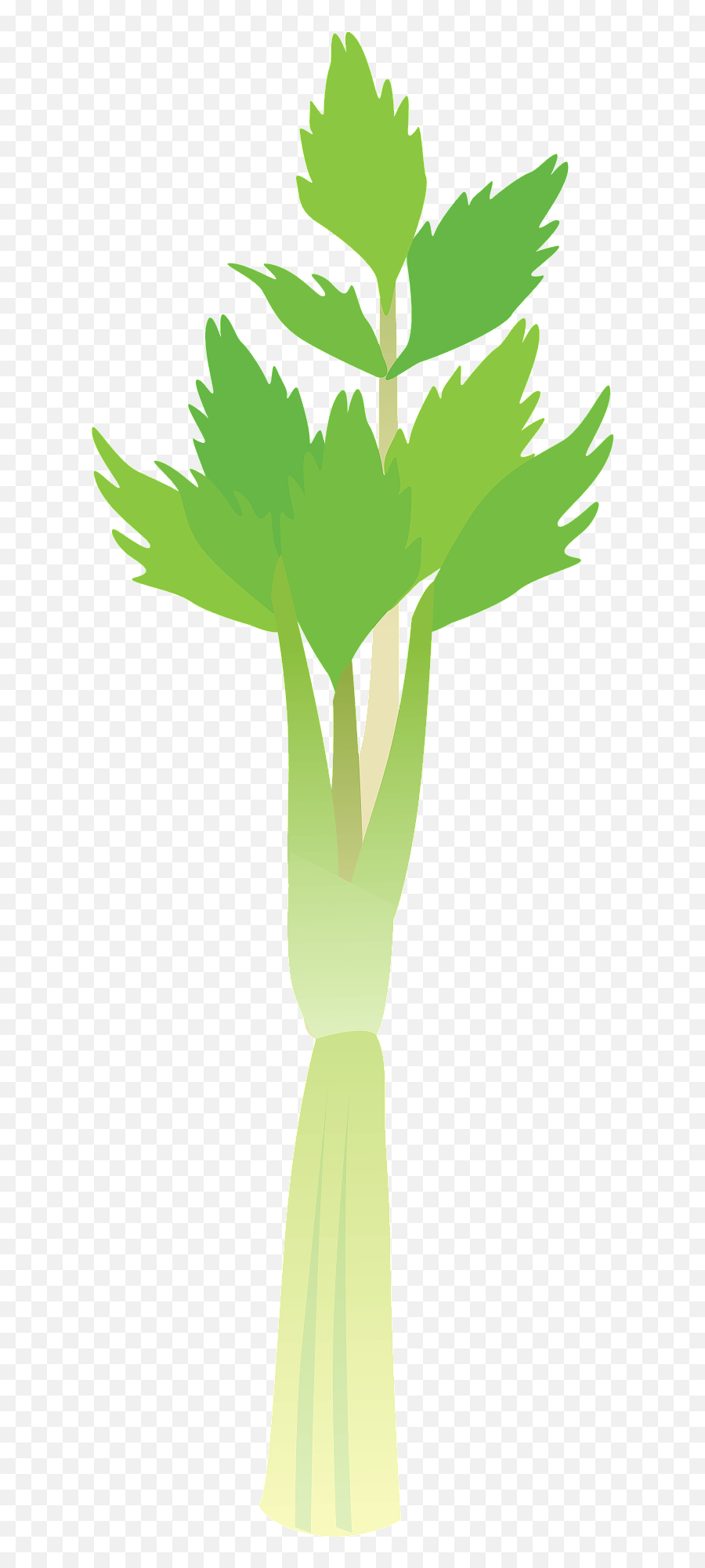 Celery Stalk Clipart Free Download Transparent Png Creazilla - Illustration,Celery Png