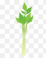 Celery Stalk Clipart Free Download Transparent Png Creazilla - Illustration,Celery Png