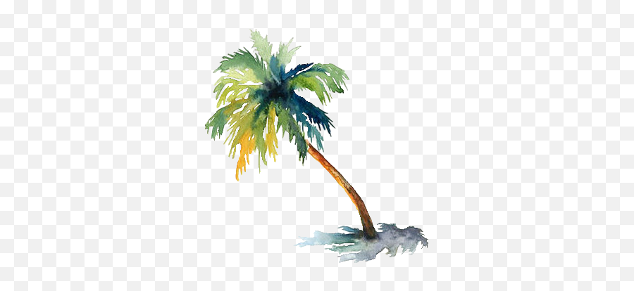 Palm Tree - Palm Trees In Watercolor Paintings Png,Palm Trees Transparent