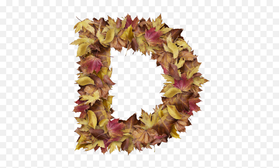 Christmas Leaves Png - Letter D From Dry Leaves Wreath Autumn,Christmas Leaves Png