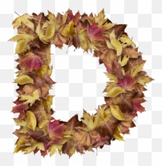 Christmas Leaves Png - Letter D From Dry Leaves Wreath Autumn