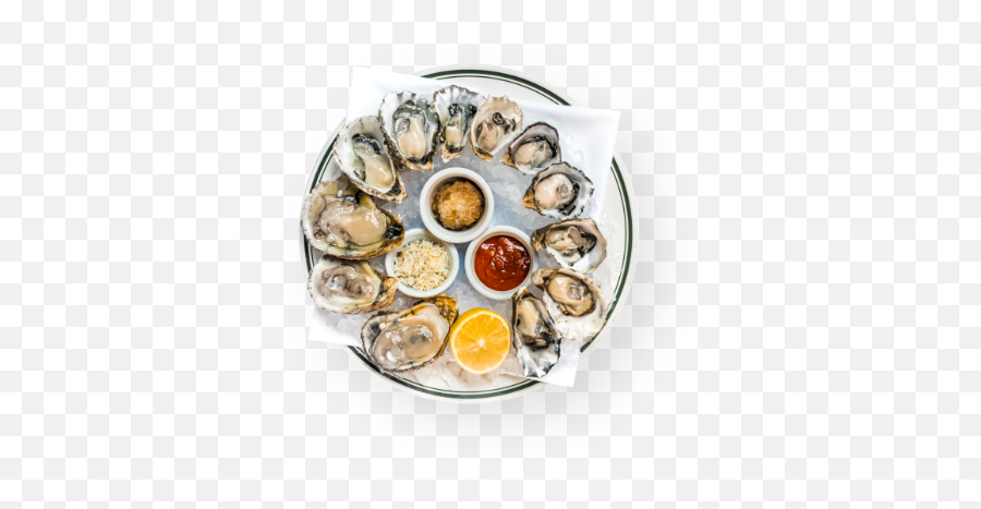 Oyster Bar - Deviled Egg Png,Oysters Png