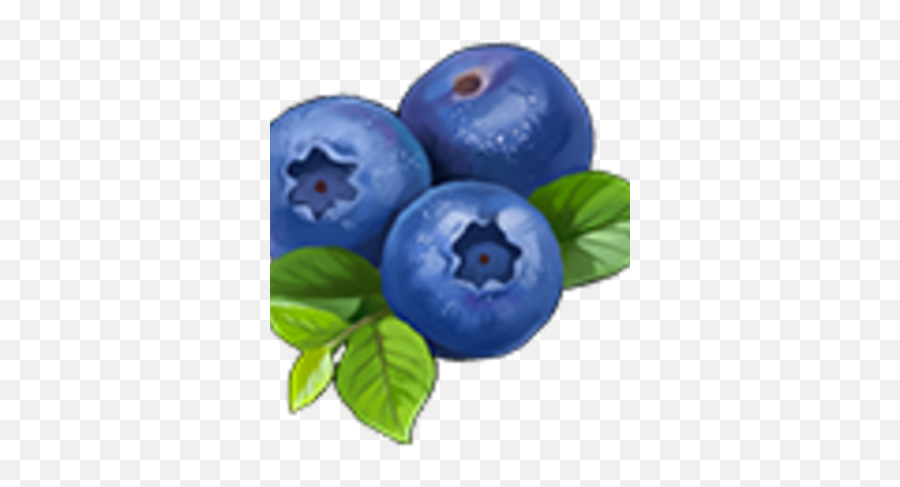 Knights And Brides Wiki - Bilberry Png,Blueberry Png