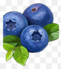 Knights And Brides Wiki - Bilberry Png,Blueberry Png