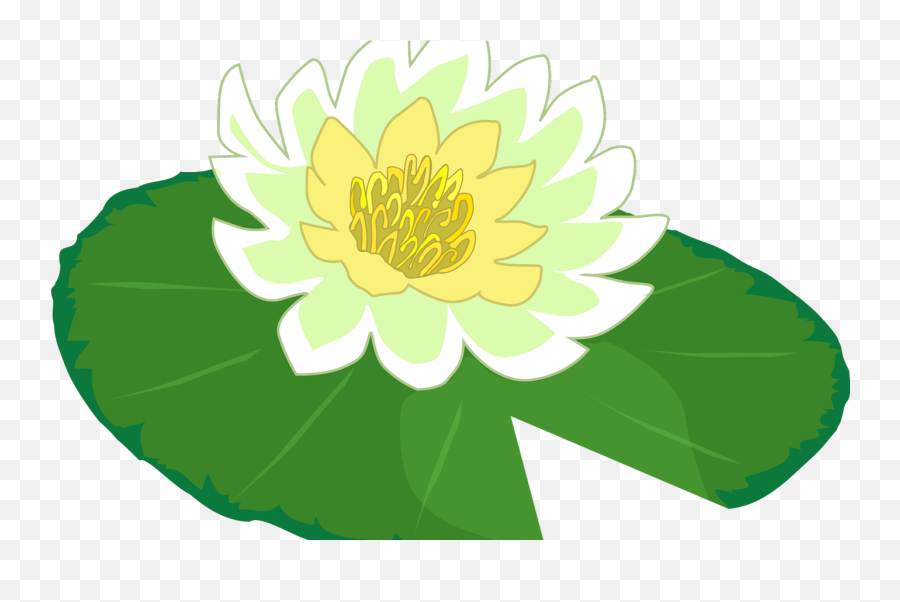 White Flower Water Lily Clipart The - Transparent Lily Pad Clip Art Png,Water Lily Png