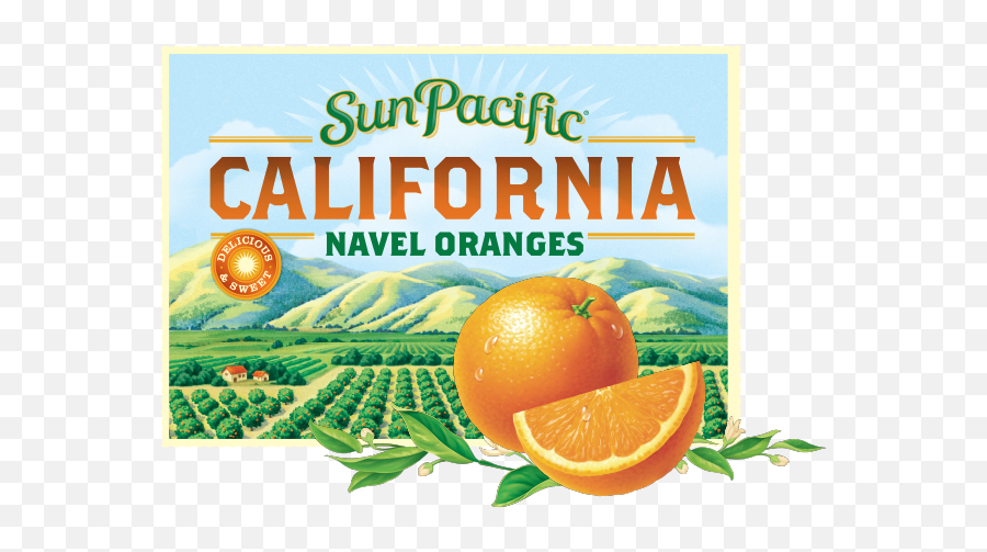 Assets California Oranges Sun Pacific - Sun Pacific Oranges Png,Oranges Png