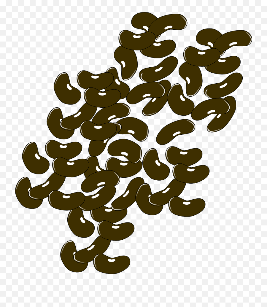 Kidney Beans Leguminous Plants - Free Vector Graphic On Pixabay Beans Clipart Png,Kidney Png