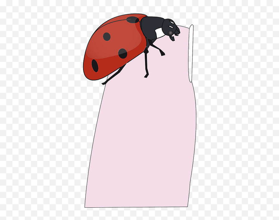 Ladybug - Lady Bug On Finger Clipart Png,Transparent Ladybug