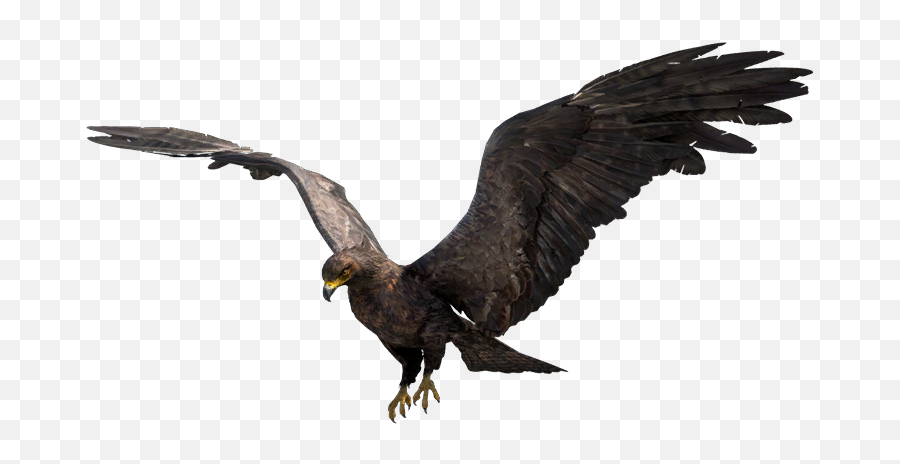 Black Eagle Far Cry Wiki Fandom - Far Cry 4 Eagle Png,Golden Eagles Logos