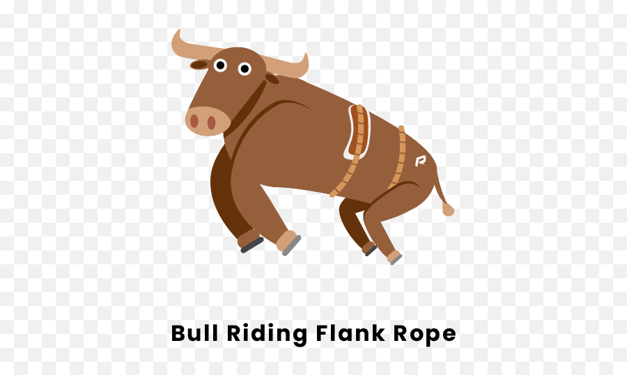 Bull Riding Equipment List - Animal Figure Png,Cowboy Rope Png