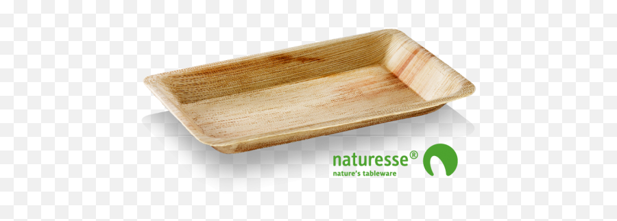 Naturesse - Oval Palm Leaf Serving Tray Suztain Plate Png,Palm Leaf Transparent