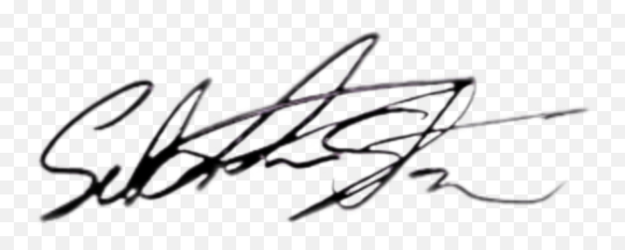 Sticker - Sebastian Stan Autograph Png,Sebastian Stan Transparent
