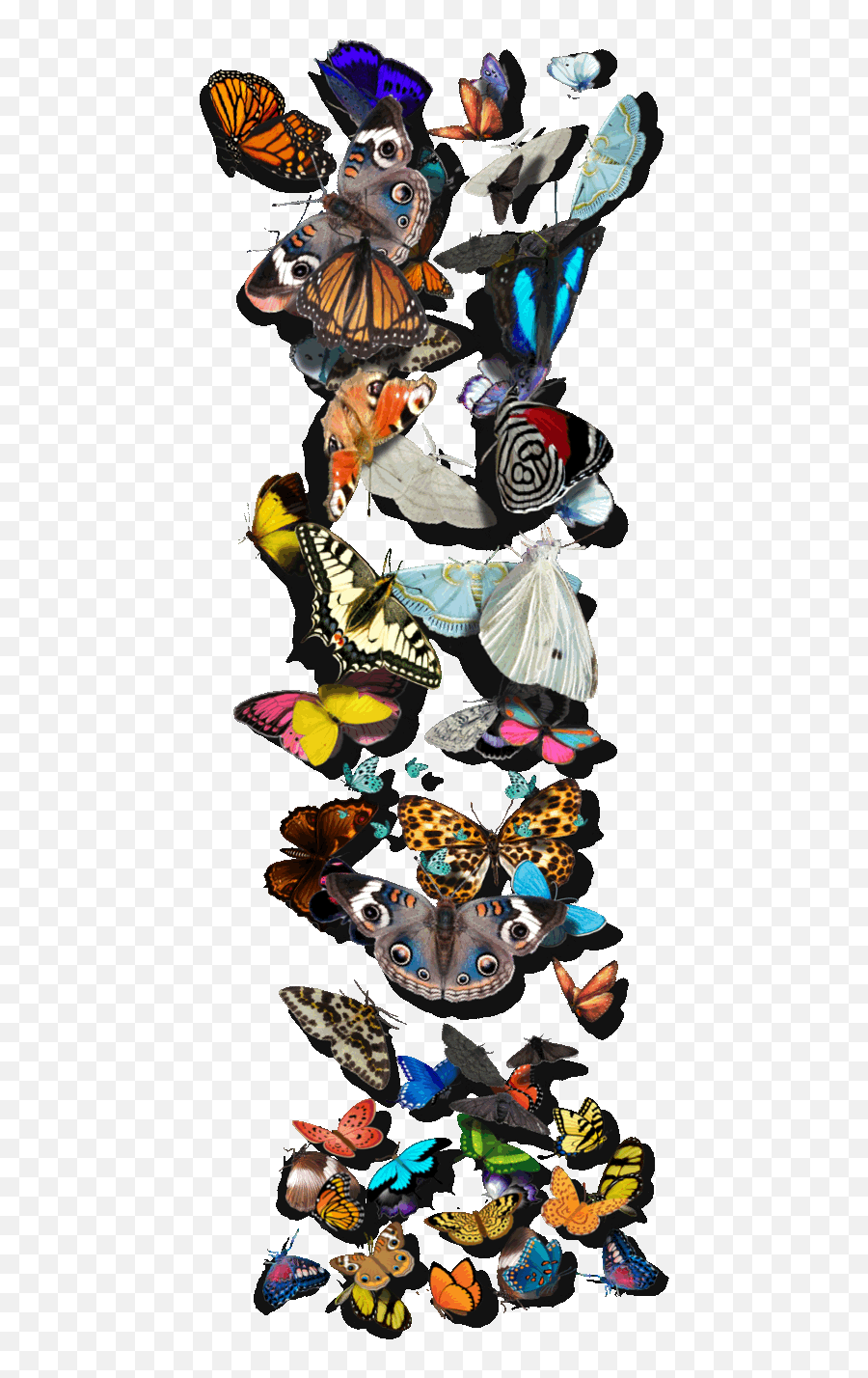 Alphabet Letteri I Butterfly Gif - Vertical Png,Butterfly Gif Transparent
