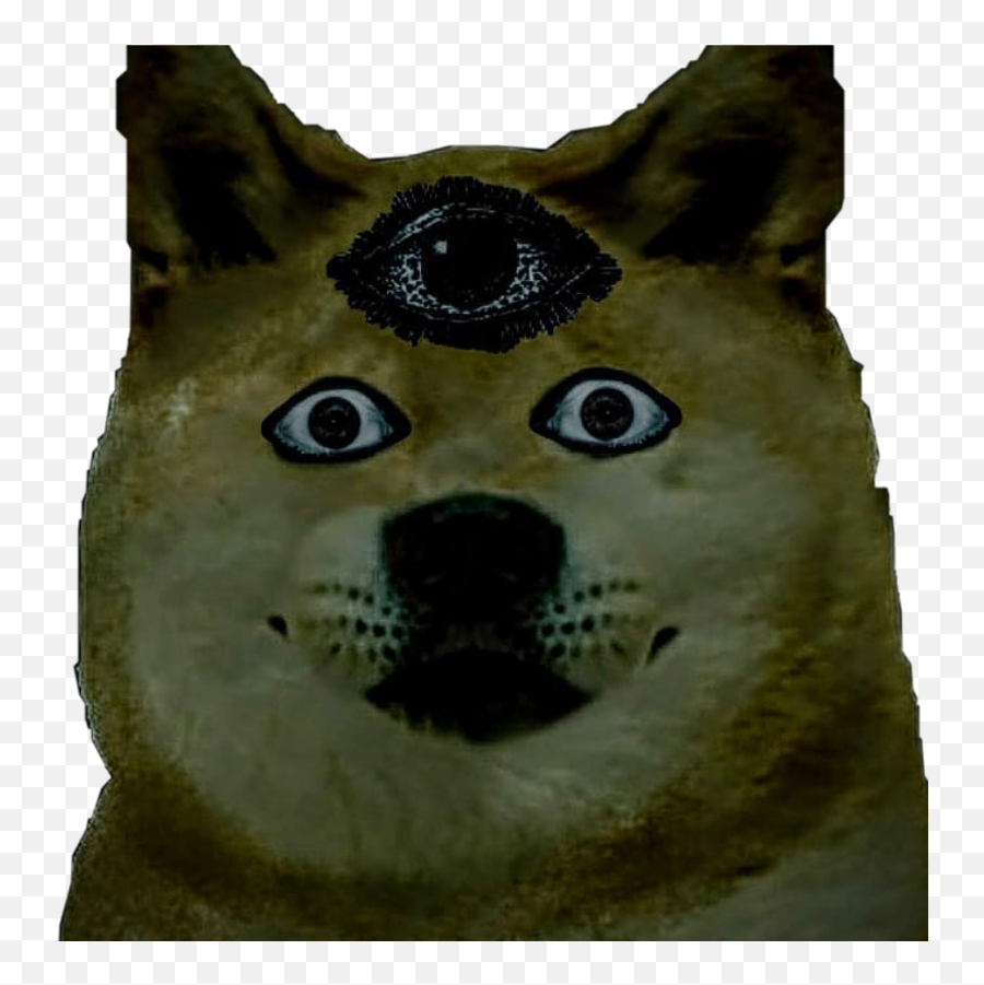 Funnydog Doge Sticker By - Northern Breed Group Png,Doge Face Png