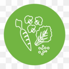 Food Group Gallery Myplate - Fresh png