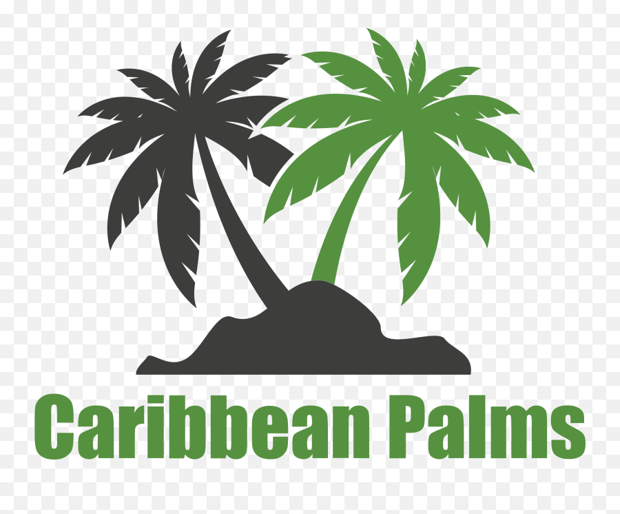 Home - Congratulations For 2019 Acheivements Png,Palm Tree Logo