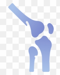 Maxicons U2013 Canva - Bone png