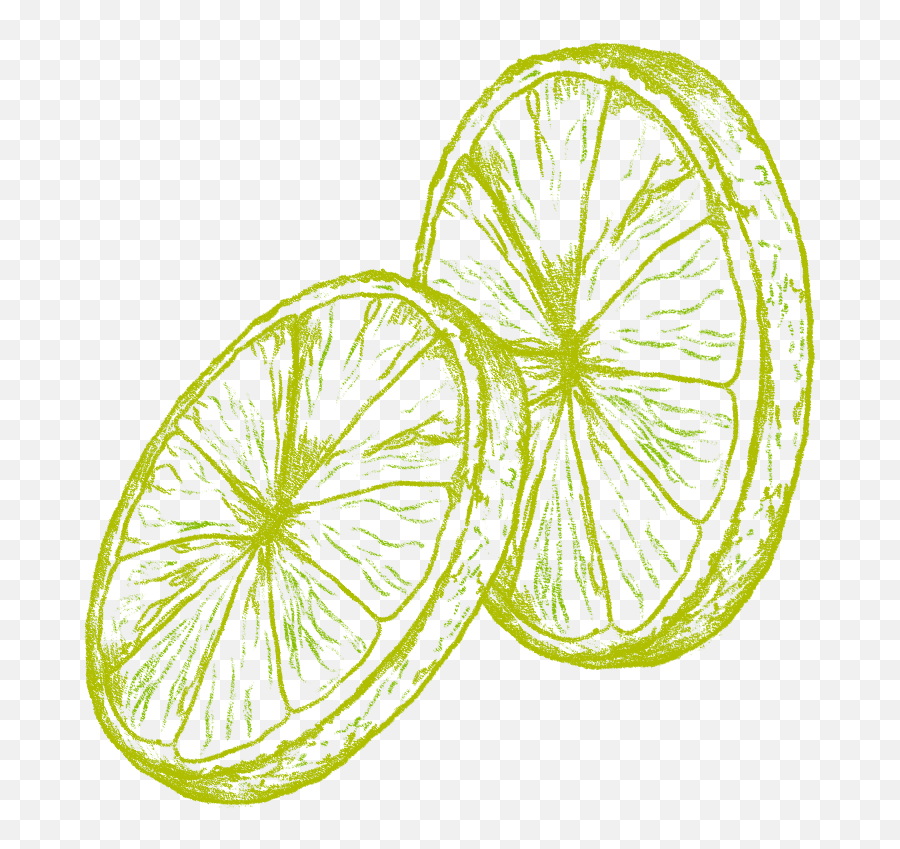 Organics By Red Bull Product U0026 Company - Sweet Lemon Png,Lime Wedge Icon