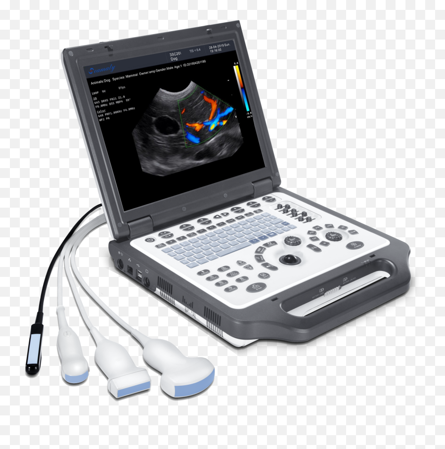Veterinary Ultrasound Testing Equipment Portable B - Buy Veterinary Ultrasoundveterinary Ultrasound Pregnancy Scannerportable Seamaty Ultrasound Bag Png,Kf2 Icon