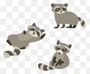 Fun Facts About Sfuu0027s Most Popular Animal The Raccoon - Animal Figure png