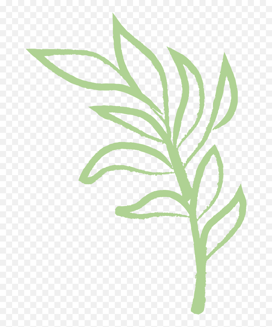 Our Treatments - Pricc Png,Corn Stalk Icon