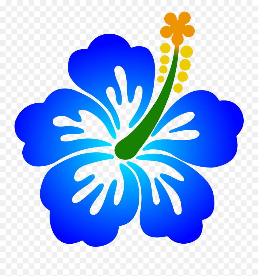 Blue Hibiscus Flower Png Freeuse Stock - Hibiscus Flower Colours Clipart,Hawaiian Flowers Png