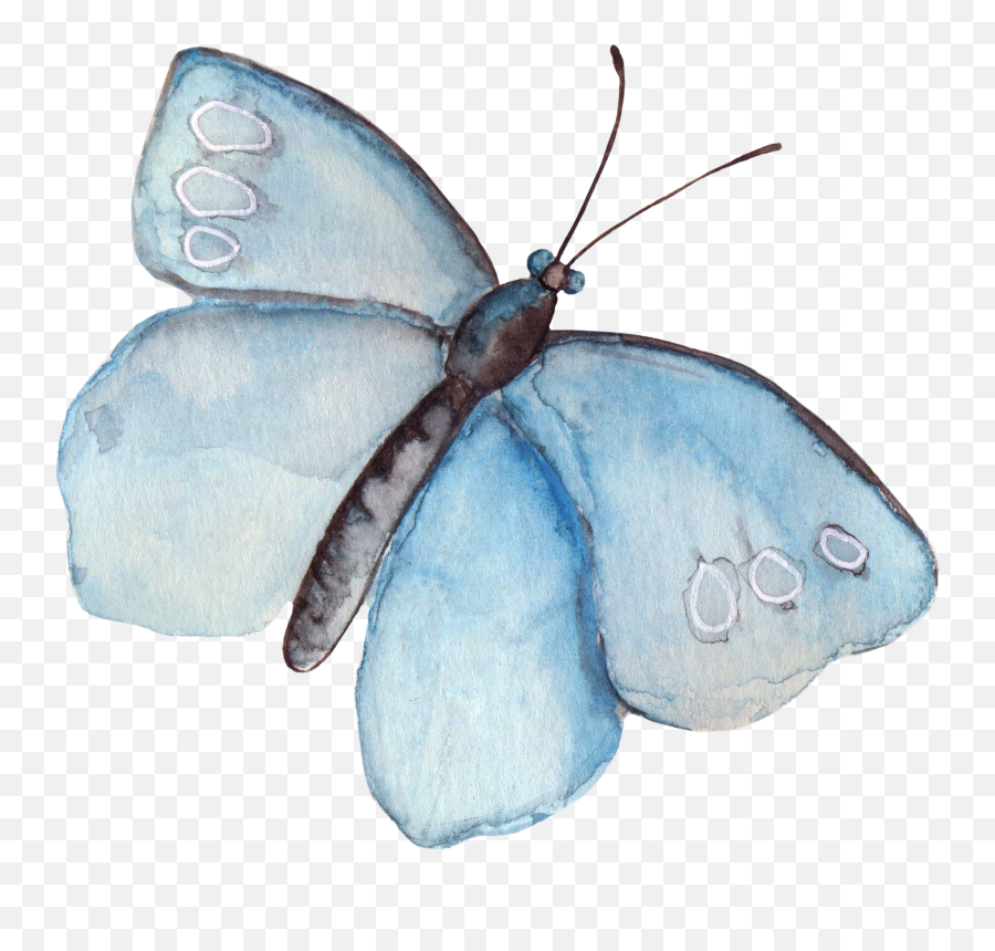 Watercolor Butterfly Clipart - Watercolor Butterfly Tumblr Png,Blue Butterfly Transparent Background