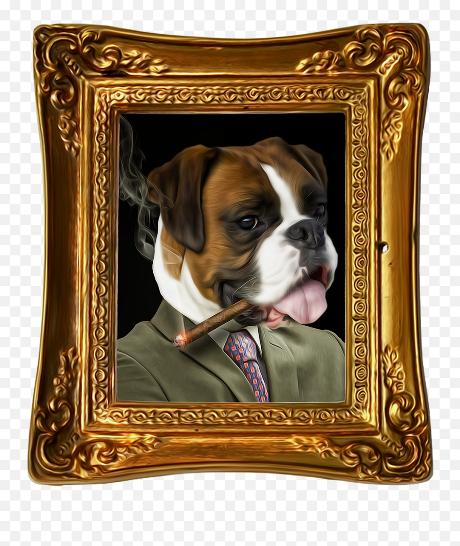 Funny Dog Png - Bulldog Portrait Funny Cute Dog Png Image Bulldog,Boxer Png