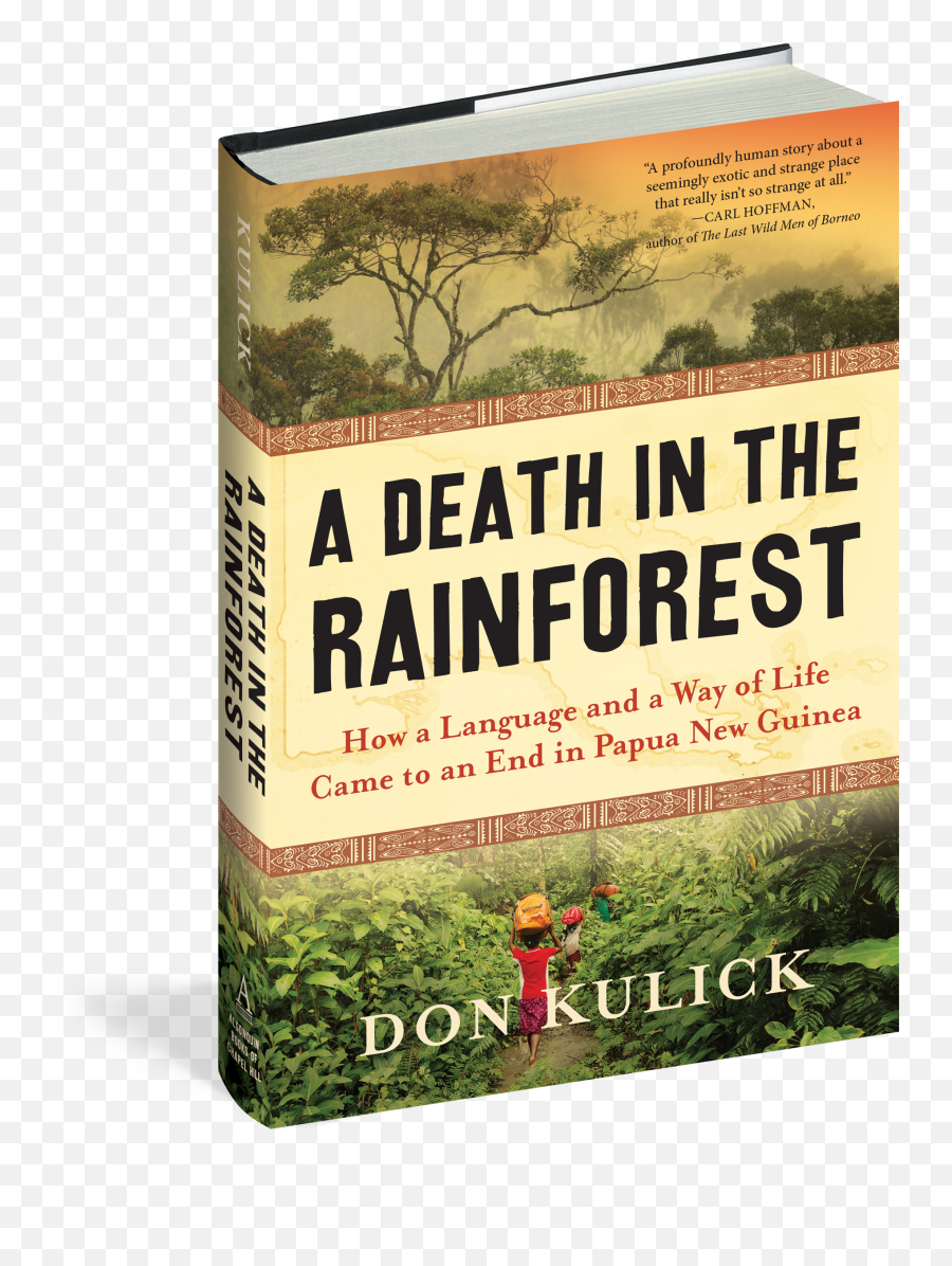 A Death In The Rainforest - A Death In The How A Language And A Way Of Life Came To An End In Papua New Guinea Png,Grass Top View Png
