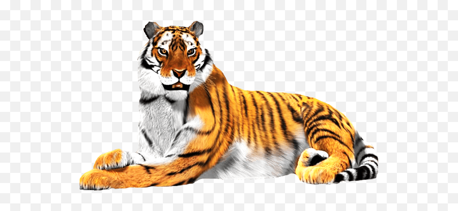 Sitting Tiger Png Download Image - National Animal Of India Clipart,Tiger  Png - free transparent png images 