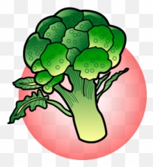Broccoli Clipart Clip Art Transparent - Clipart Broccoli Png,Brocolli Png