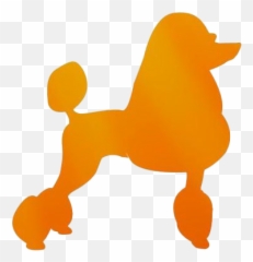 Poodle Png Image - Clipart Poodle Png,Poodle Png