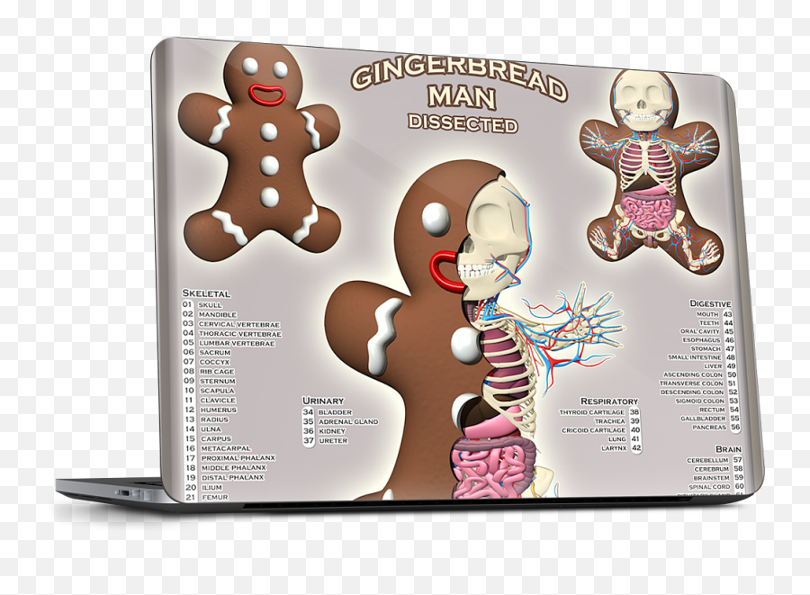 Gingerbread Man Dissected Dell Laptop Skin By Jason Freeny - Gingerbread Man Anatomy Png,Gingerbread Man Png