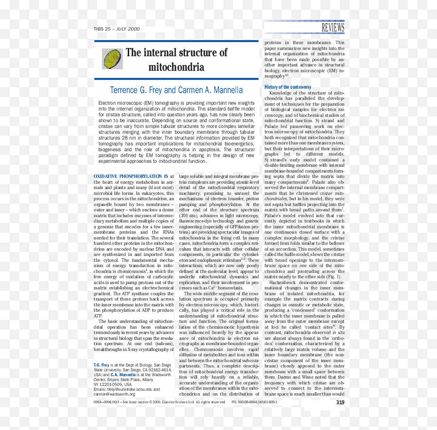 The Internal Structure Of Mitochondria - Document Png,Mitochondria Png