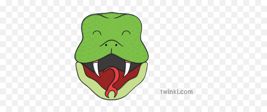 Snake With Open Mouth Head Face Topics Ks1 Illustration - Twinkl Big Png,Open Mouth Png