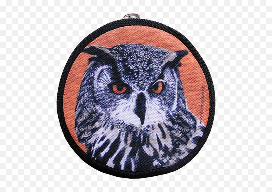 Download Hedwig Owl Purse Xs - Eagle Owl Full Size Png Eagle Owl,Hedwig Png