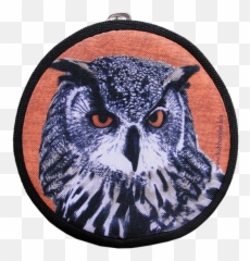Download Hedwig Owl Purse Xs - Eagle Owl Full Size Png Eagle Owl,Hedwig Png