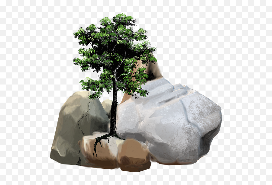 Free Photo Tree Nature Stone Pebble Leaves Rock Stones - Max Tree With Stones Png,Pebble Png